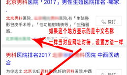 百度关键词点击软件,高效提升搜索引擎排名与网站流量策略解析