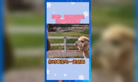 吃瓜群众娱乐素材网站,吃瓜群众独家娱乐素材大揭秘