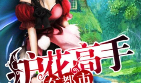 护花高手在都市 小说,花间传奇,护花传奇