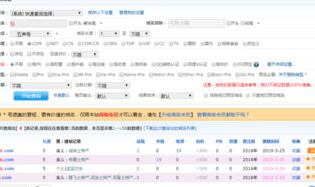 中文域名费用,注册、续费及附加服务全解析