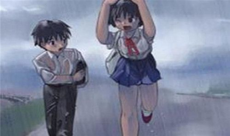 雨后的小故事 图片,小公园的清新蜕变