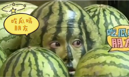 娱乐吃瓜地,吃瓜群众背后的故事